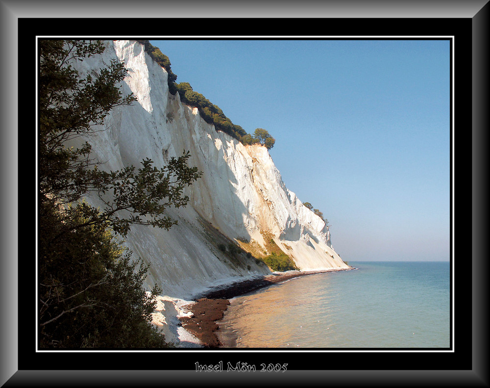 Kalkfelsen auf der Insel Moen in Dänemark