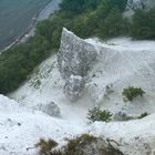 Kalkfelsen auf Rügen