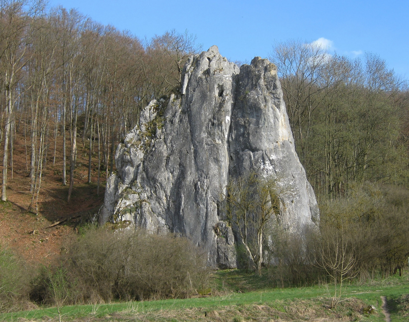 Kalkfelsen im Lonetal(Albtal)