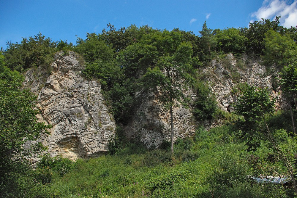 Kalkfelsen in der Eifel