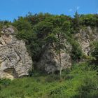 Kalkfelsen in der Eifel