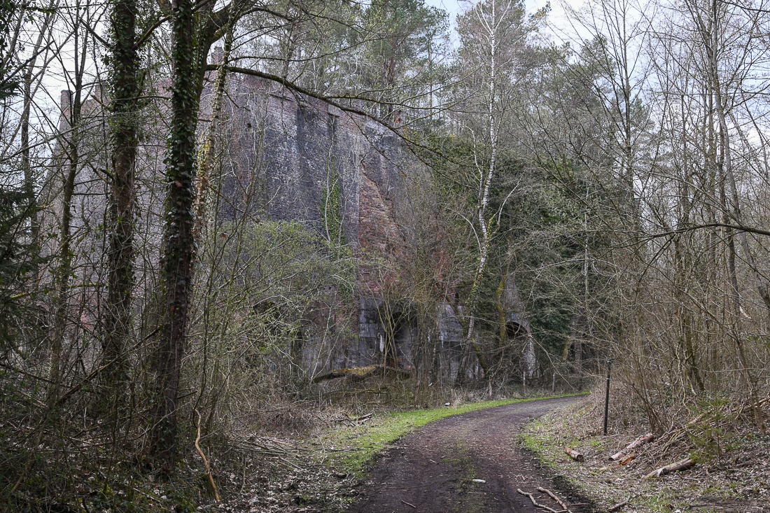 Kalköfen bei Hergenrath (B)