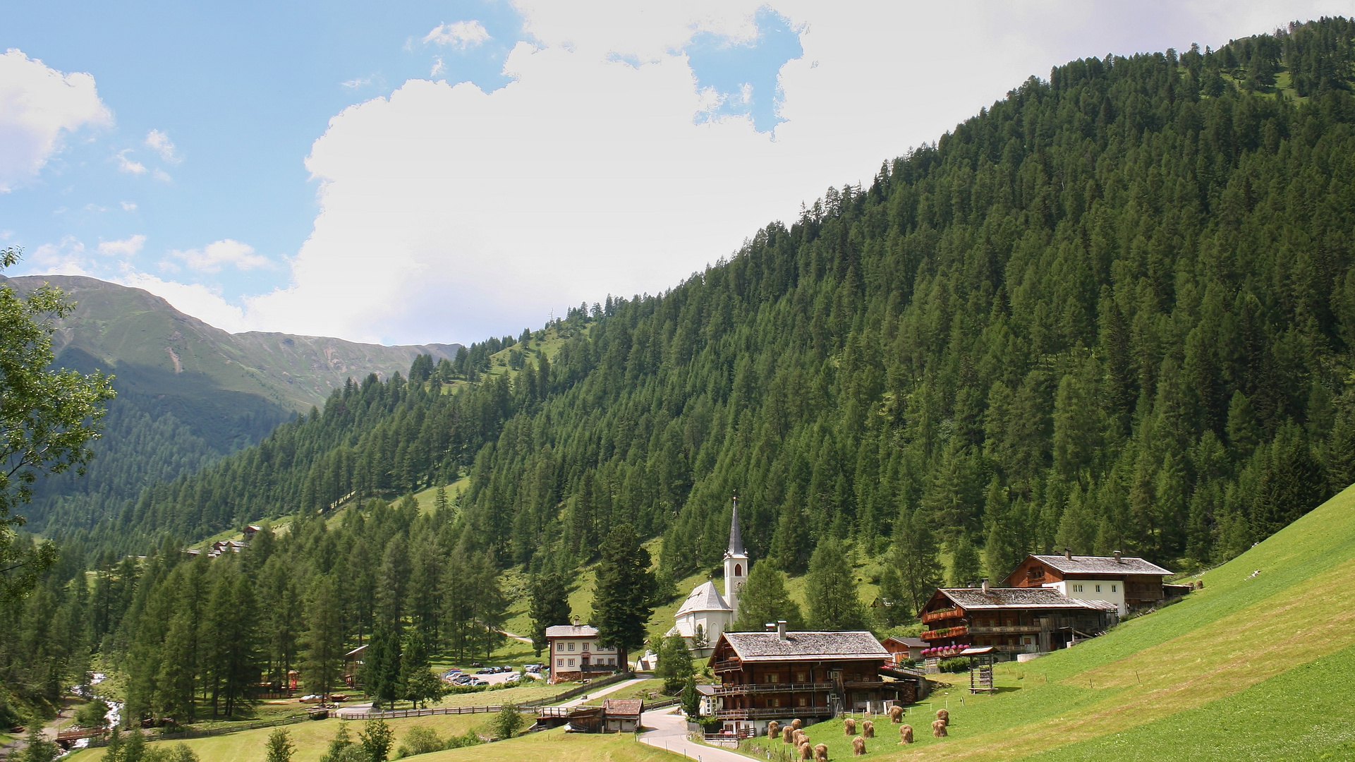 Kalkstein, 1639 m (IMG_7848_ji)