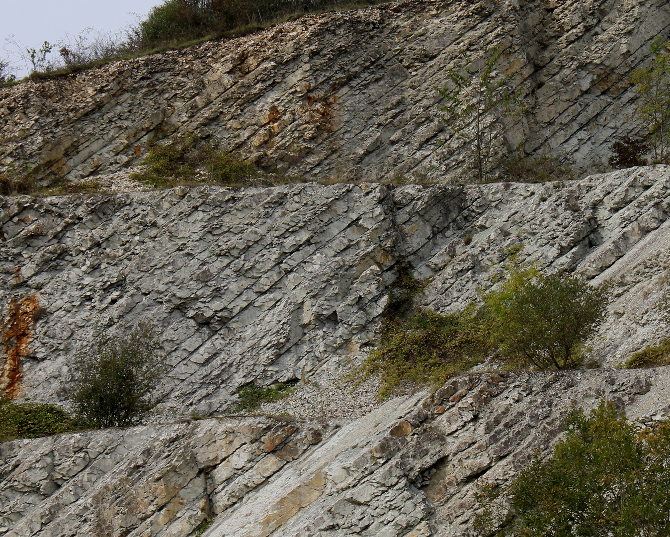 Kalksteinschichten im Brochterbecker Steinbruch