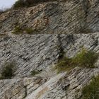 Kalksteinschichten im Brochterbecker Steinbruch