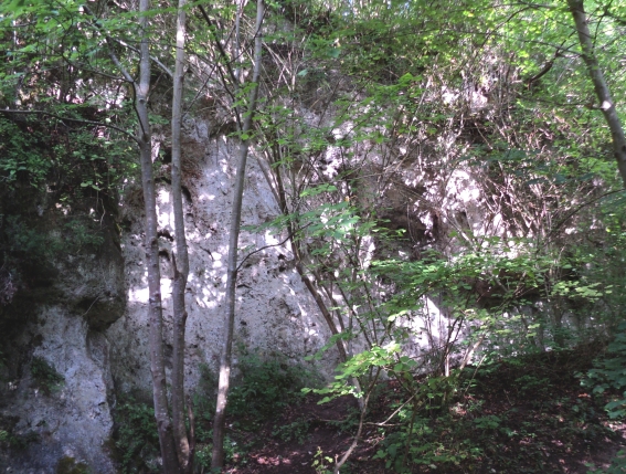 Kalksteinwand am Ahüttener Wasserfall