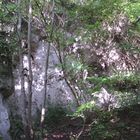 Kalksteinwand am Ahüttener Wasserfall