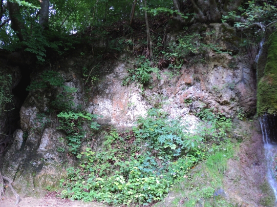 Kalksteinwand links vom Ahüttener Wasserfall