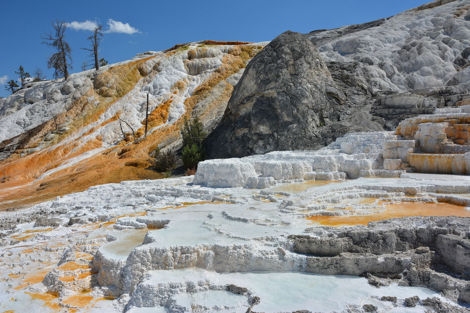 Kalkterrassen nahe Mammoth Hot Springs (Yellowstone N.P.)