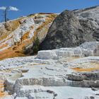 Kalkterrassen nahe Mammoth Hot Springs (Yellowstone N.P.)