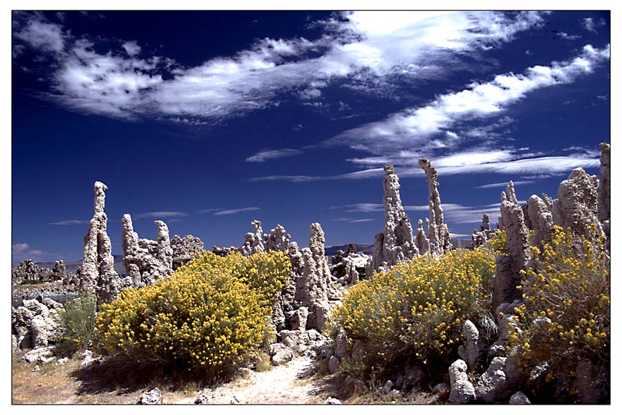 Kalktuff am Mono Lake