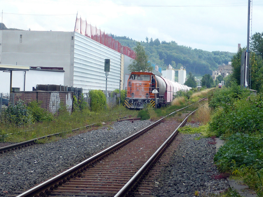 Kalkzug im Hönnetal 02