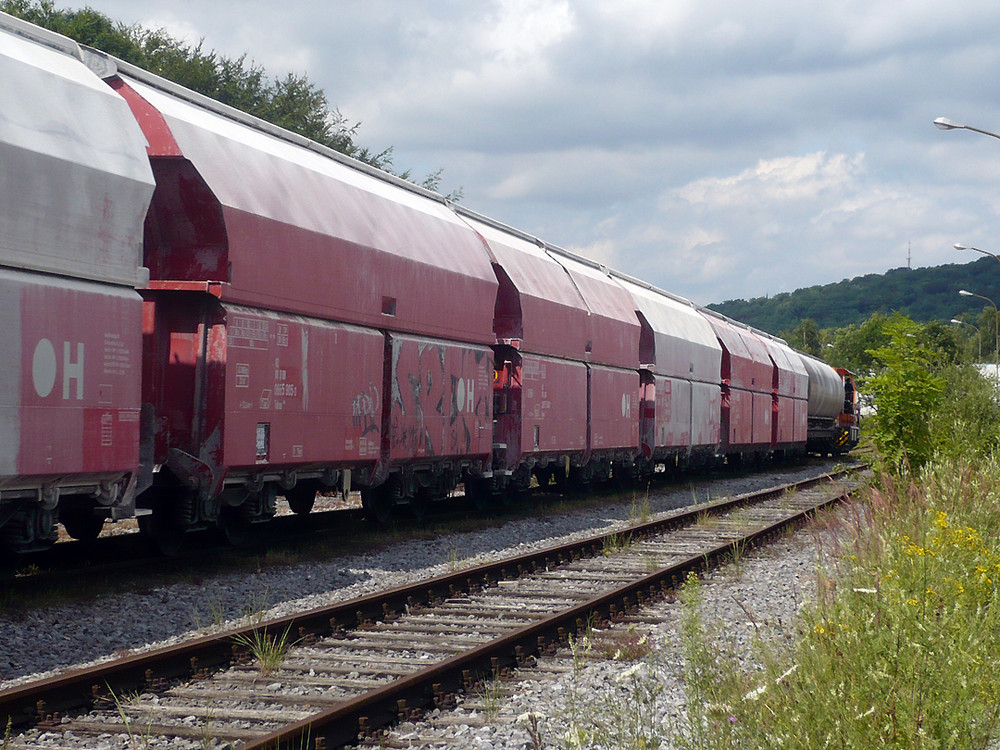 Kalkzug im Hönnetal 03