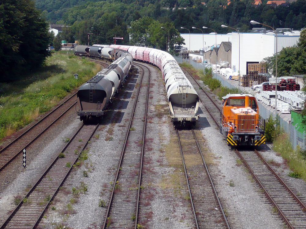 Kalkzug im Hönnetal 04