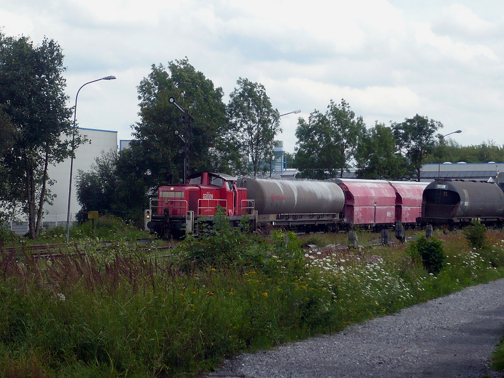 Kalkzug im Hönnetal 07