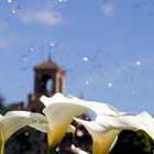 Kalla mit Springbrunnen und Turm im Hintergrund