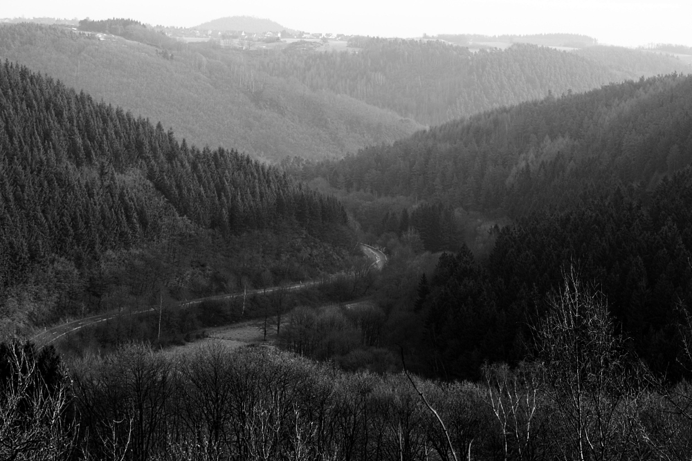 Kalltal nahe Vossenack/Eifel