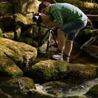 User Profile Photo