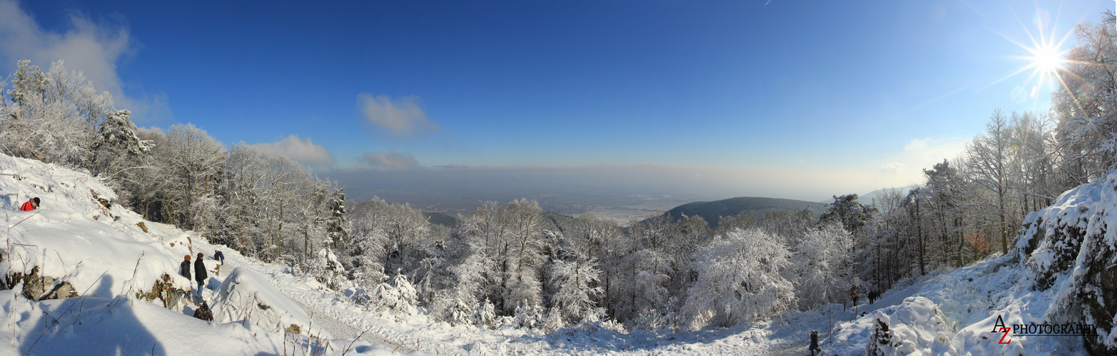 Kalmit Panorama