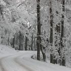 Kalmit-Winter
