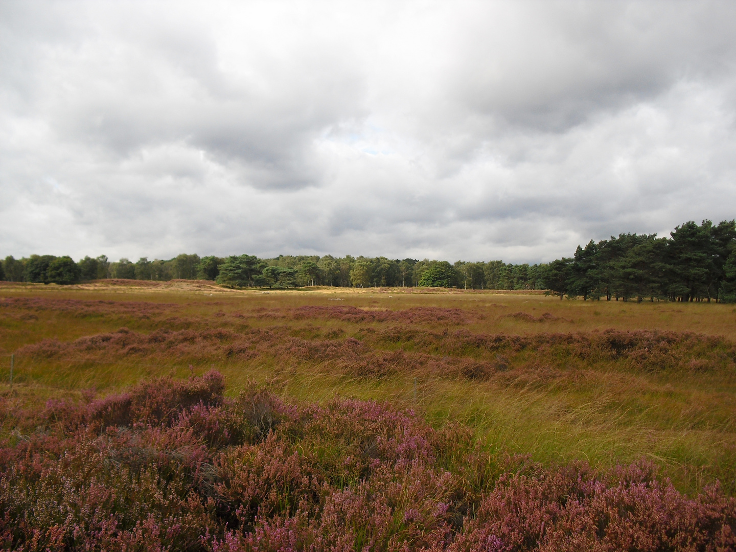 Kalmthout - Belgien