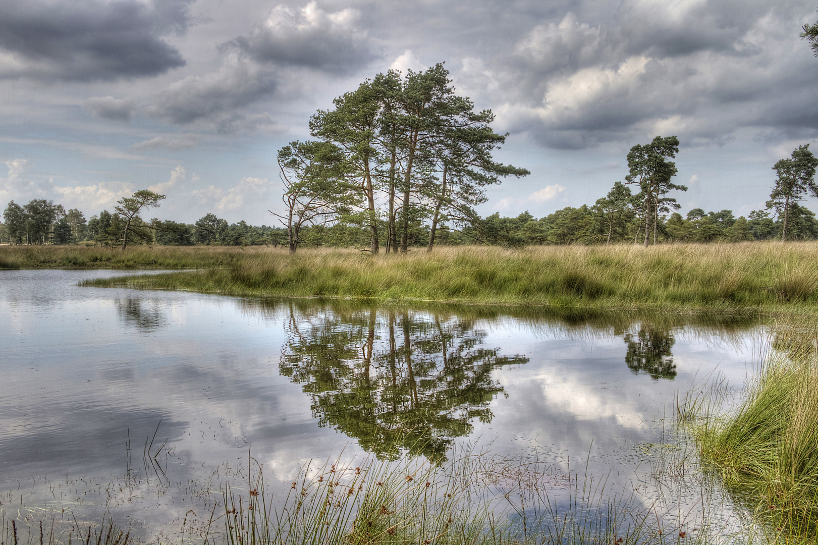 Kalmthoutse Heide