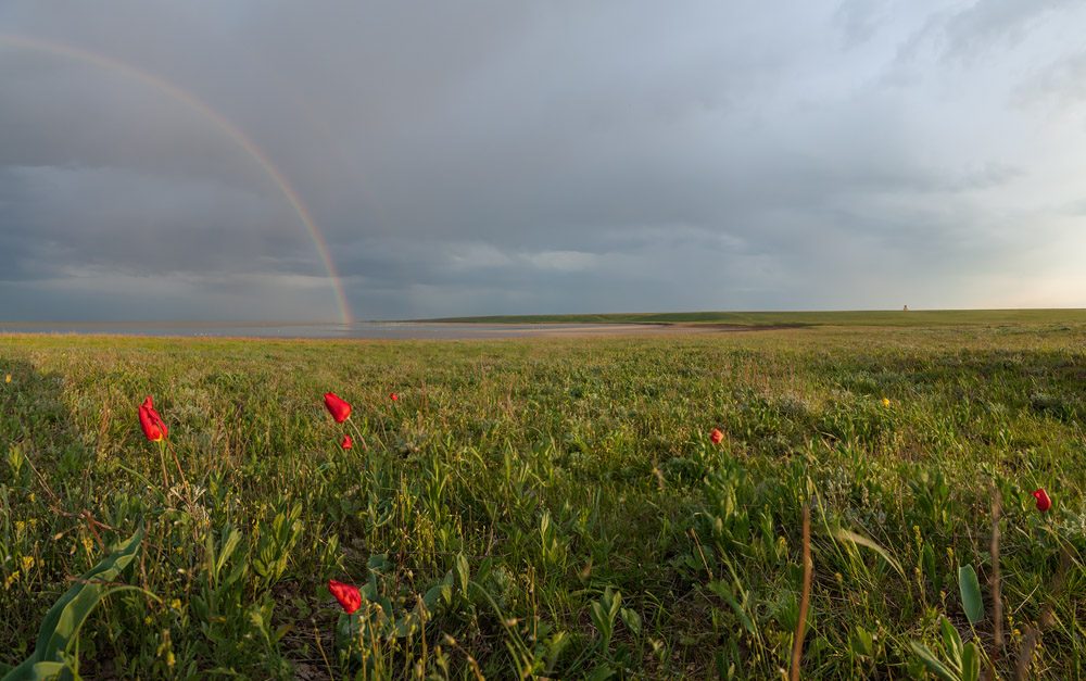 "Kalmyk open spaces"