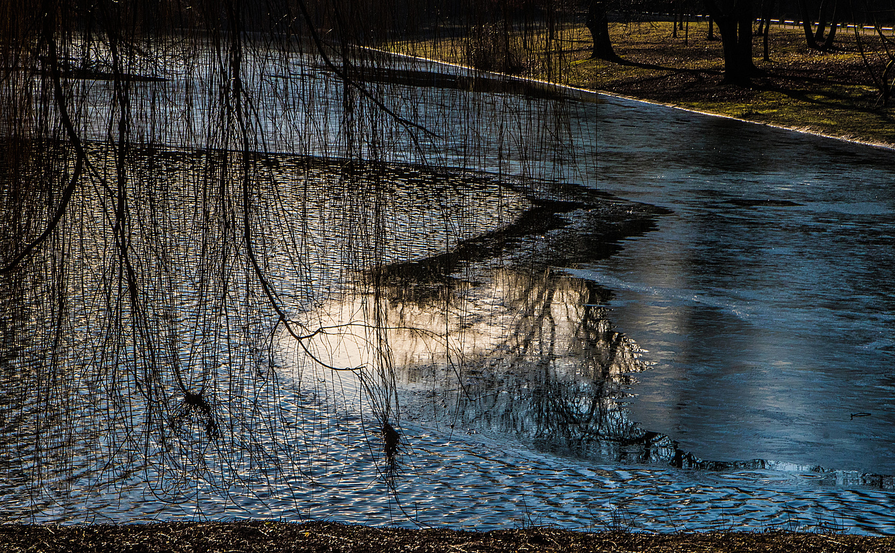 Kalscheuer Weiher hat eine leichte Haut