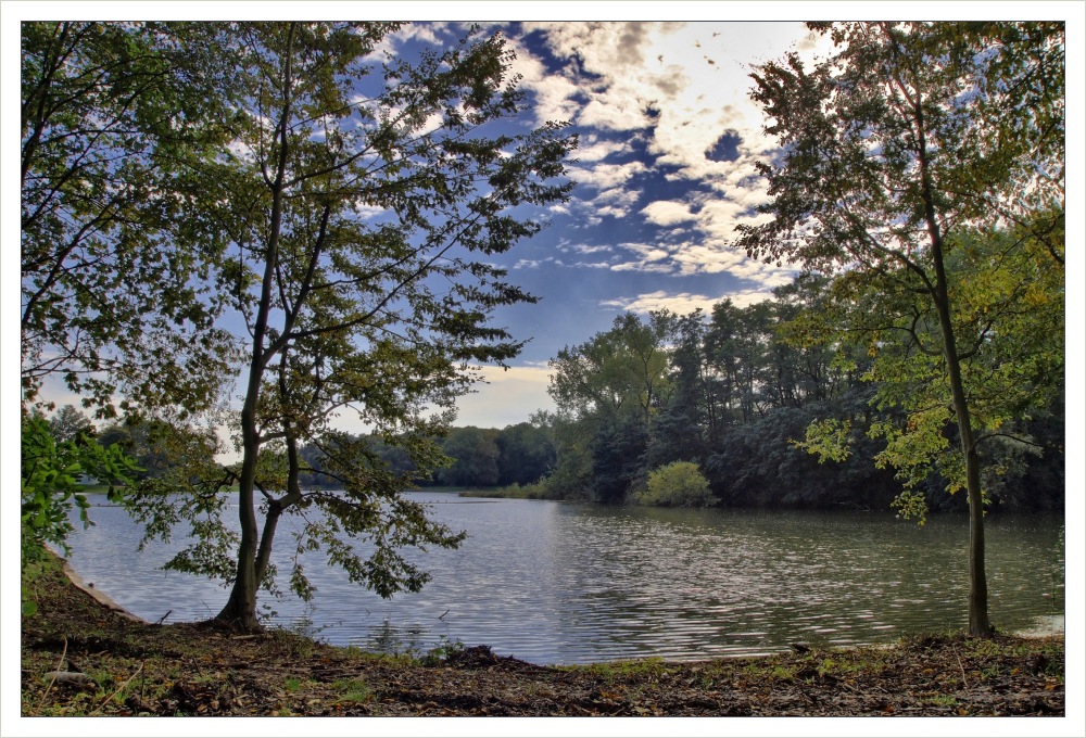 Kalscheurer Weiher