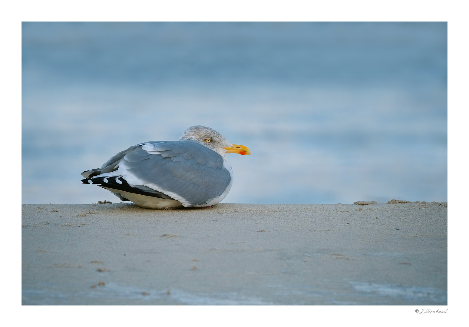 Kalt Foto & Bild deutschland, europe, mecklenburg vorpommern Bilder
