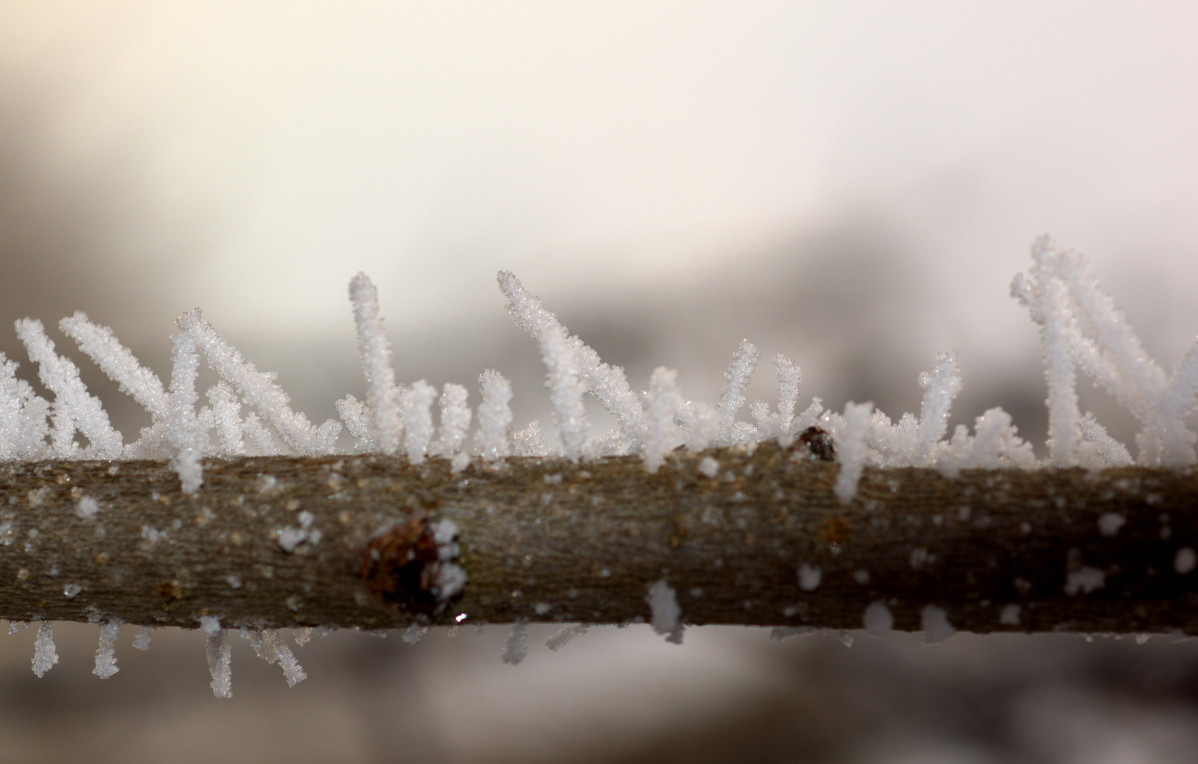 kalt Foto & Bild jahreszeiten, winter, naturkreativ Bilder auf