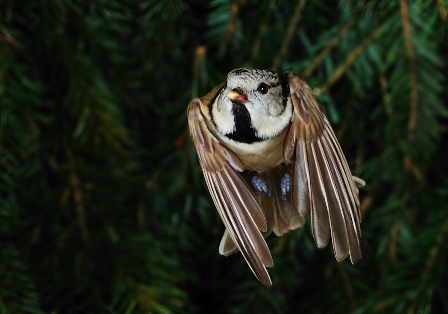 Kalt beim fliegen!