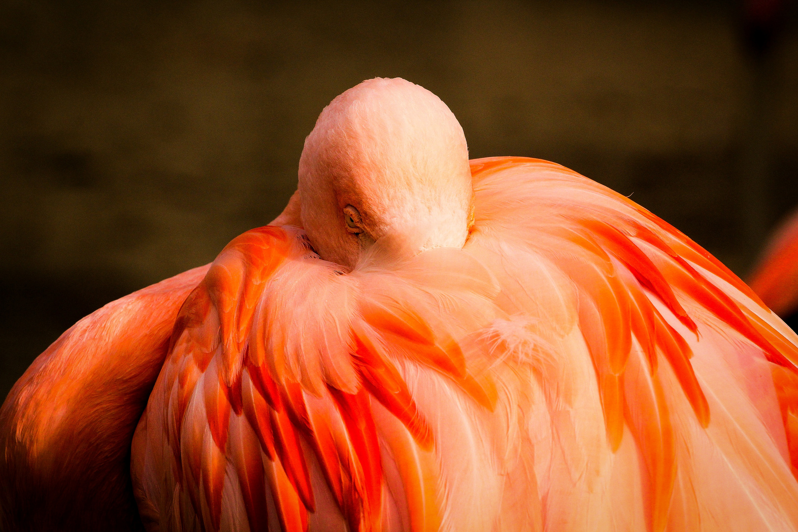 kalt Foto & Bild deutschland, europe, niedersachsen Bilder auf