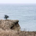 Kalt - hier oben an der Ostseeküste