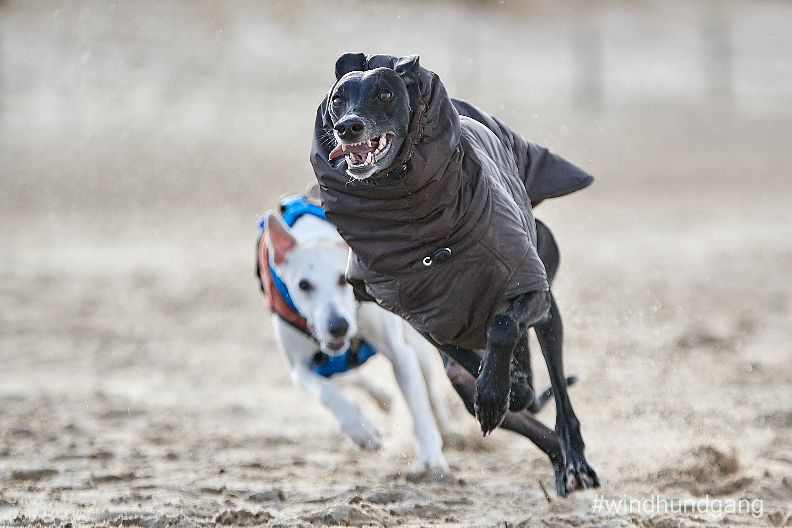 Kalt im Sand