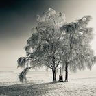 Kalt ist‘s 2