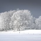 Kalt, kälter, am kältesten ... brrrrrrrrrr