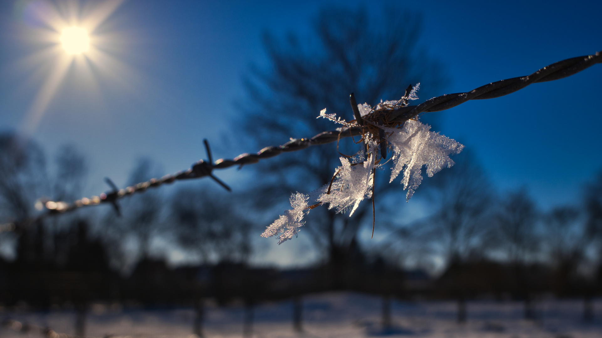 Kalt trotz Sonne