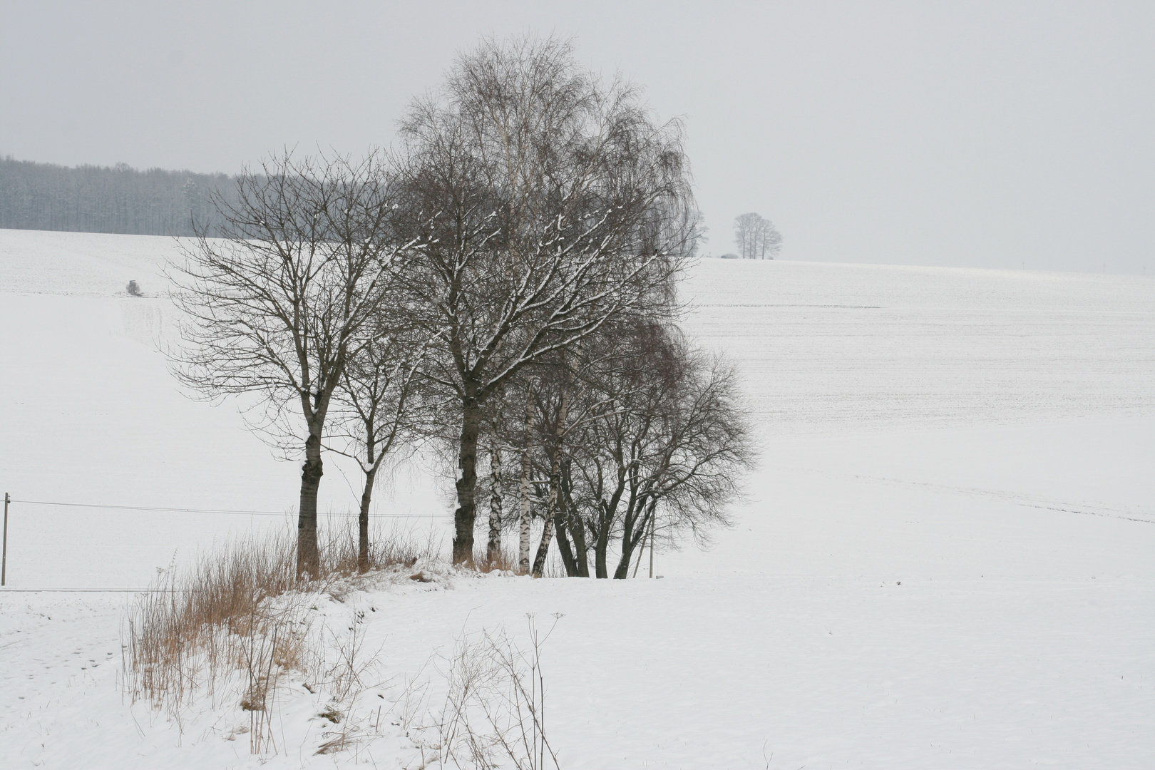 Kalt und einsam ...