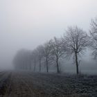 Kalt und Nebel