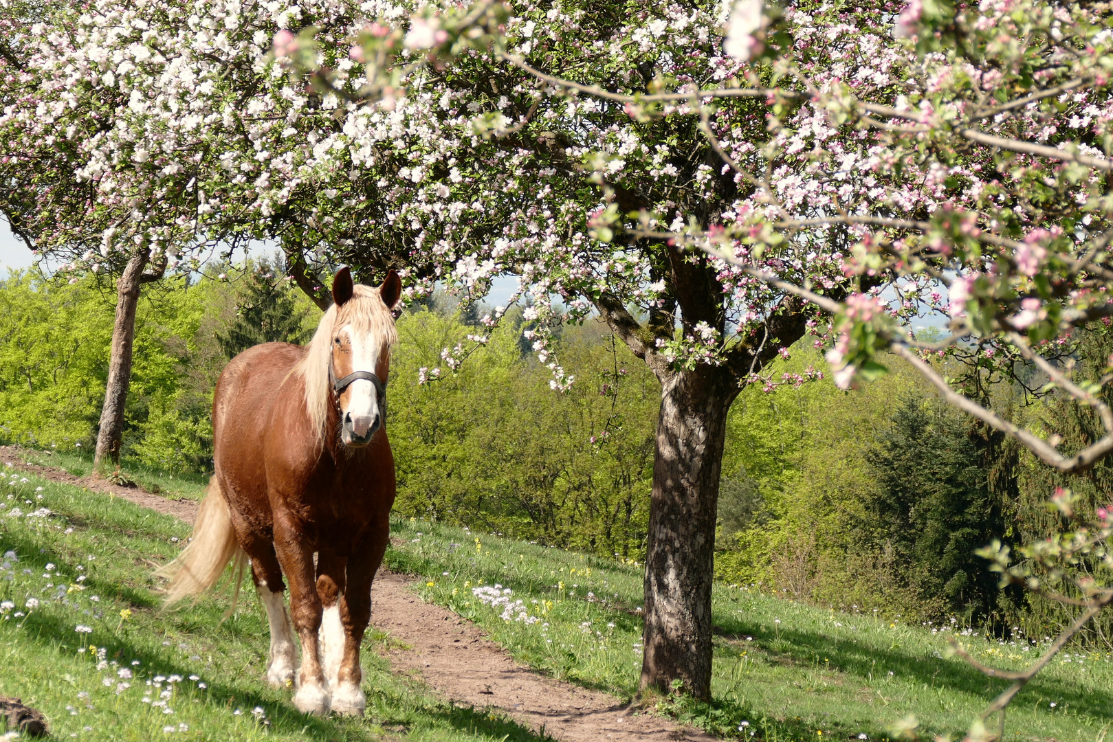 Kaltblüter an einem warmen Frühlingstag