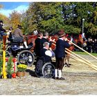 kaltblutpferdemarkt laupheim - alphornbläsergruppe