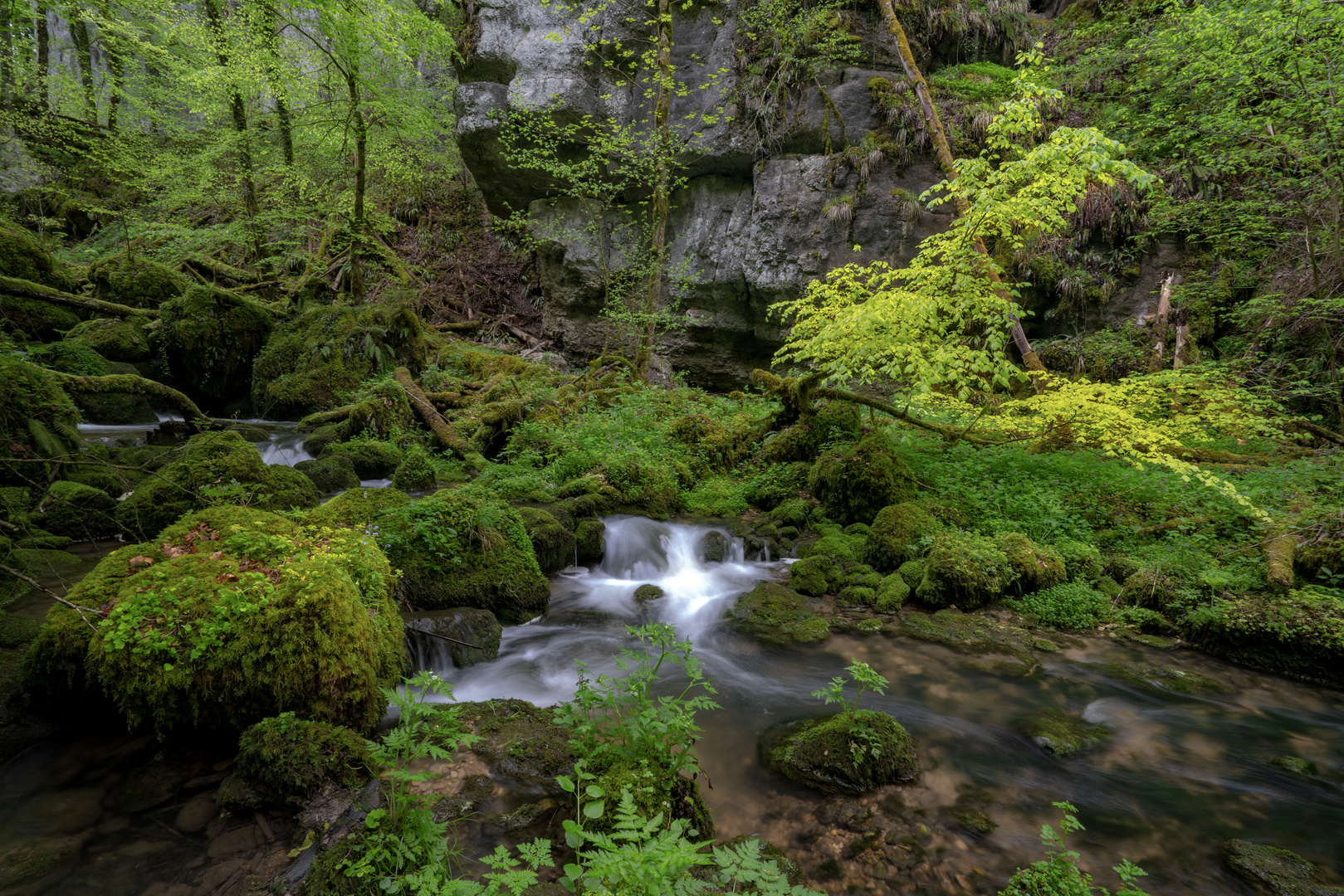 Kaltbrunnental...