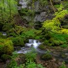 Kaltbrunnental...