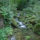 Kaltbrunnental