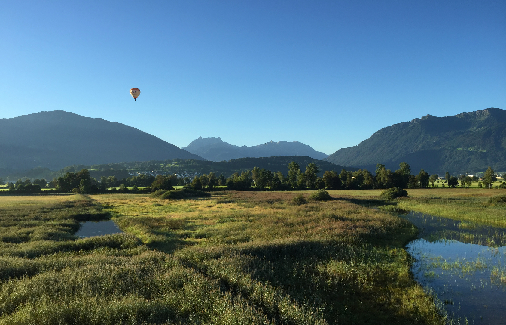 Kaltbrunner Riet morgens