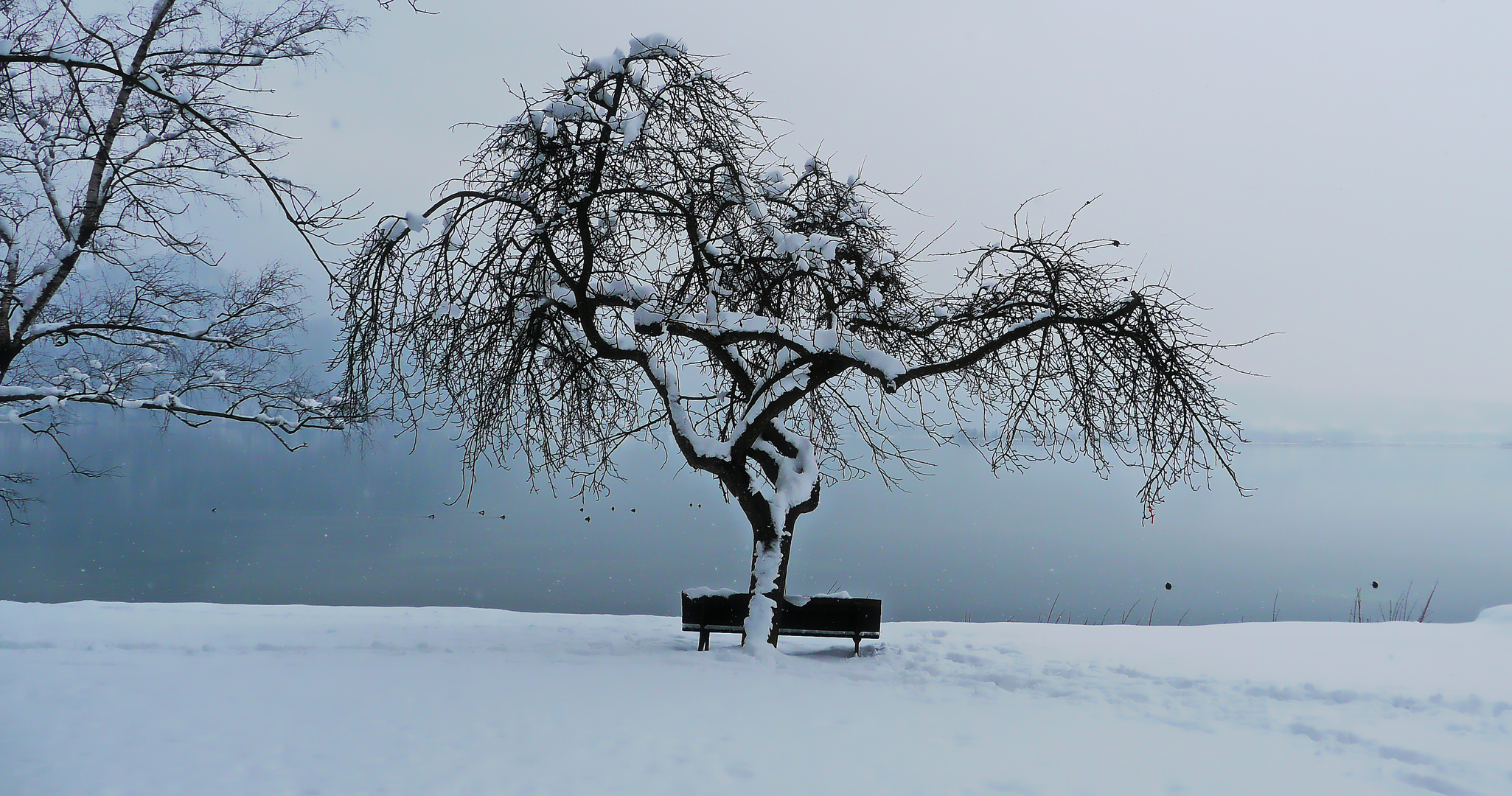 Kalte Bank am Kochelsee