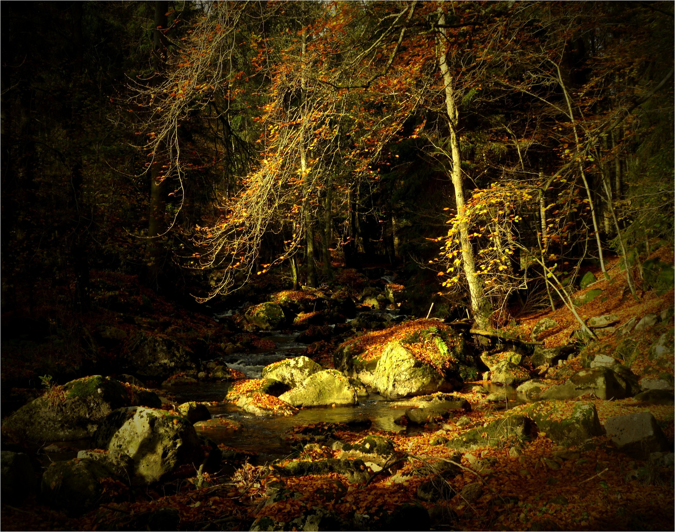 Kalte Bode im warmen Herbstlicht