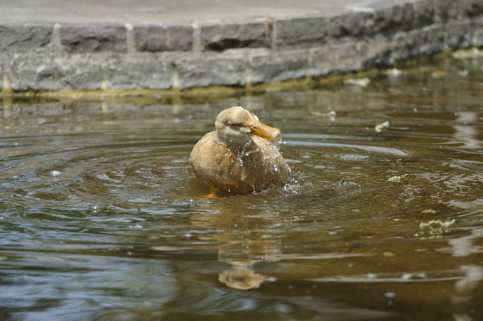 Kalte Dusche...