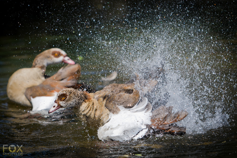 Kalte Dusche